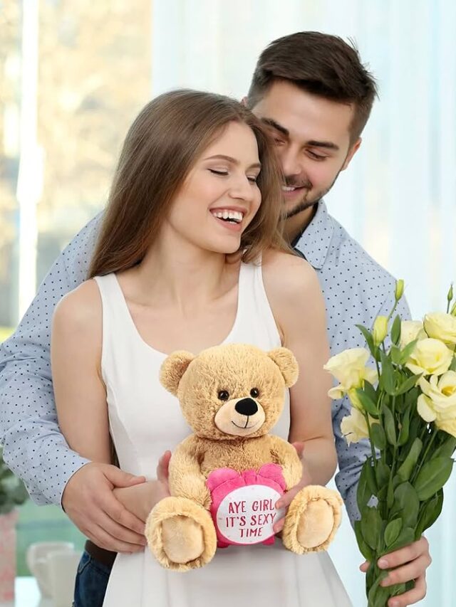 Best 7 Teddy Bear for your Girlfriend 222