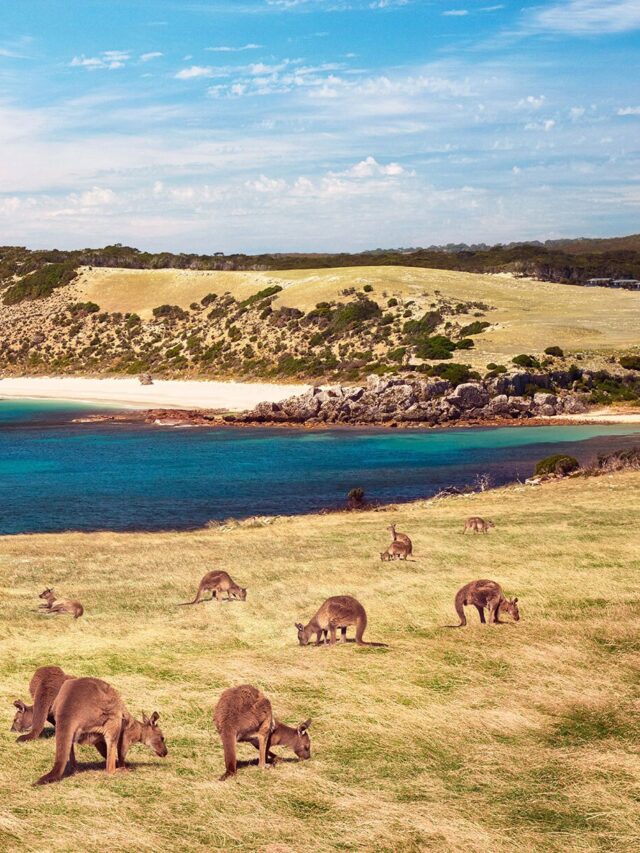 Top 10 Amazing Places To Visit In Australia