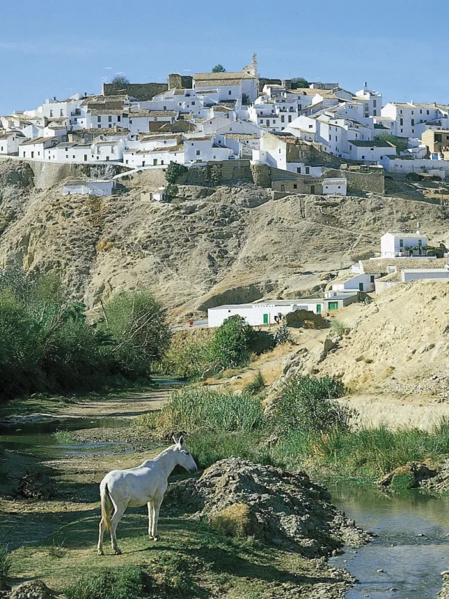 village-Andalusia-region-Spain-housing